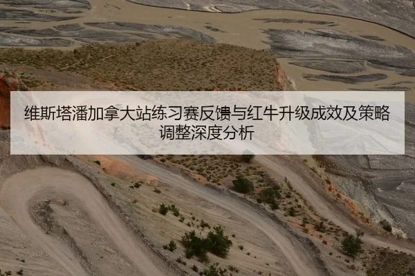维斯塔潘加拿大站练习赛反馈与红牛升级成效及策略调整深度分析